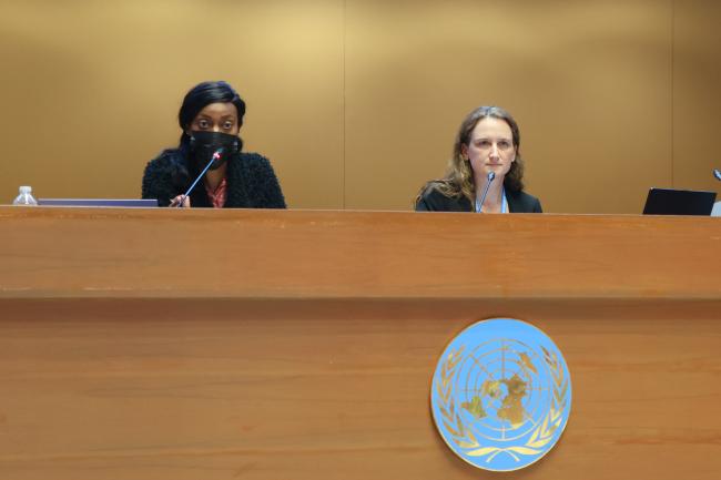 Shonelle Wellington, Barbados and Heidi Stockhaus, Germany co-chairing the contact group on HFC-23 
