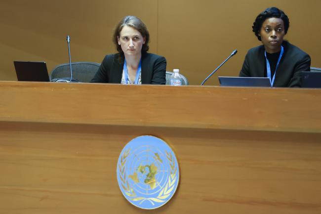 Shontelle Wellington, Barbados, and Heidi Stockhaus, Germany, facilitating the contact group on HFC-23