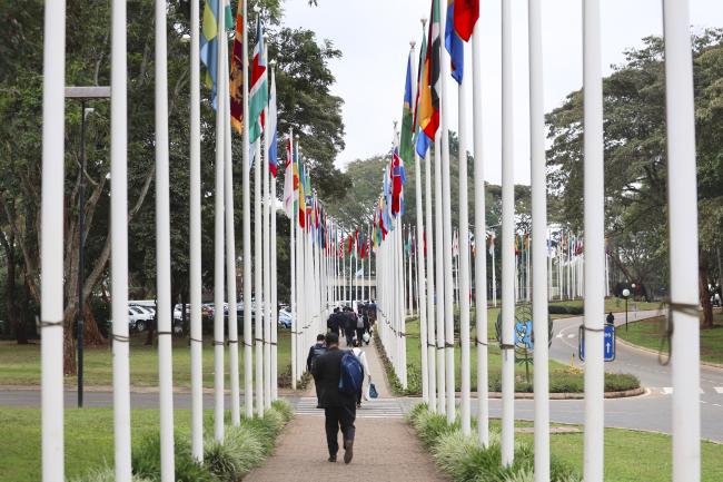 UN Flags 