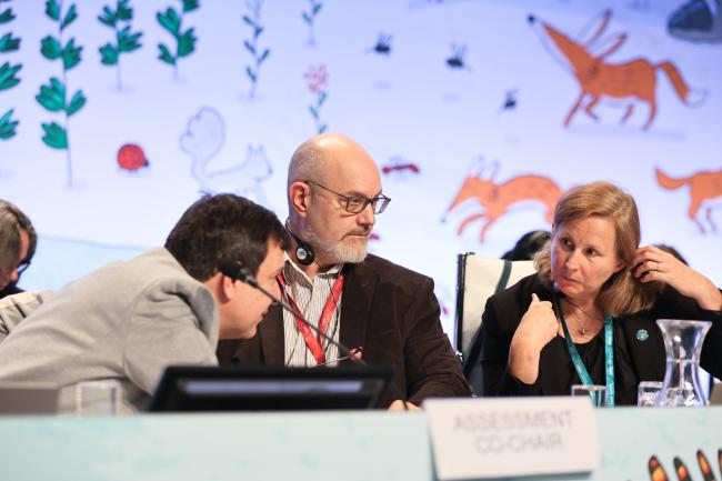 Co-Chairs of IAS assessment Aníbal Pauchard, Peter Stoett, and Helen Roy 