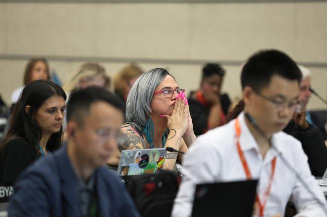 Delegates following the discussions 