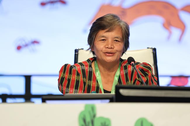 Florence Daguitan, Indigenous Peoples International Centre for Policy Research and Education 