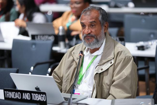 Floyd Homer, Trinidad and Tobago, reporting back from the Working Group 2 