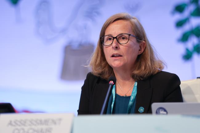 Helen Roy, Co-Chair of the IAS Assessment