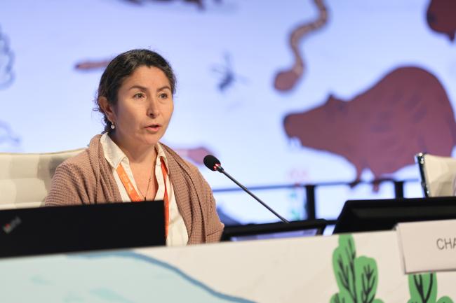 IPBES Chair Ana María Hernández Salgar 