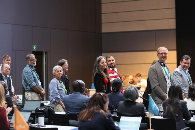 IPBES Chair IPBES Chair Ana María Hernández Salgar encouraged the authors to stand up in order to receive an appreciation applaud from the delegates 