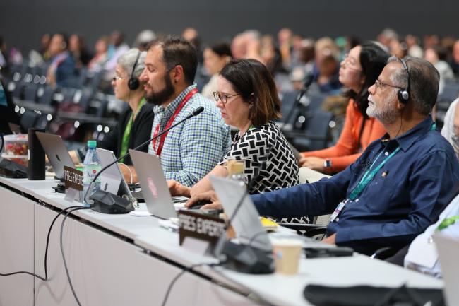 IPBES experts following the discussions