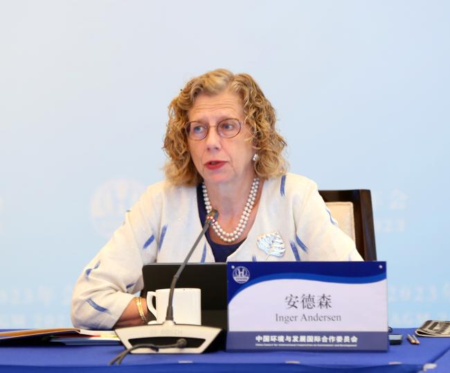 Inger Andersen CCICED Vice Chairperson and Executive Director, UN Environment Programme (UNEP) 