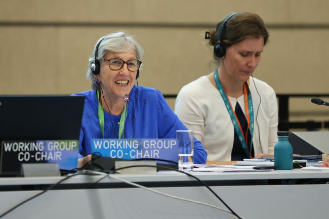 Julia Marton-Lefèvre, Co-Chair of Working Group 2 