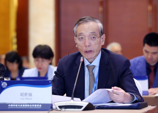 Liu Shijin, Chinese Chief Advisor, CCICED 