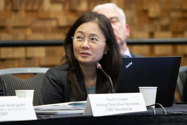 Maria Socorro Manguiat, Deputy Executive Secretary, Ozone Secretariat - GEF7 - 22 Aug 2023 - Photo