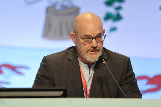 Peter Stoett, Co-Chair of IAS Assessment