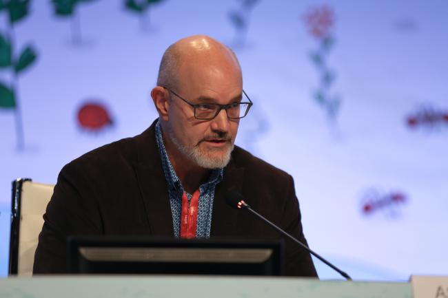 Peter Stoett, Co-Chair of IAS Assessment