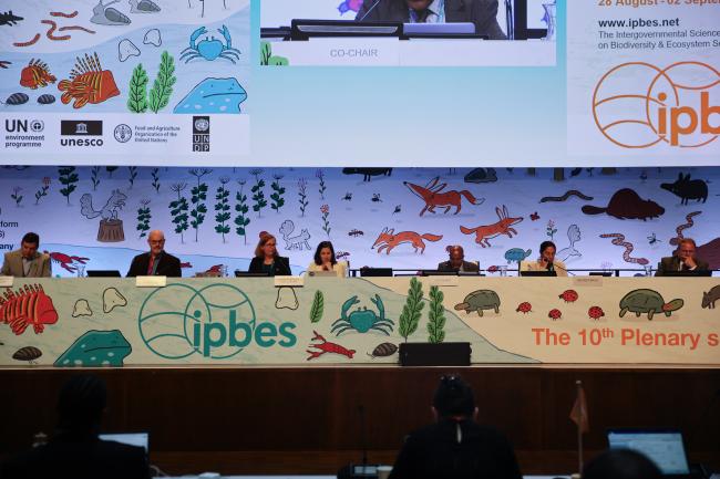 View of the dais during the Working Group I 