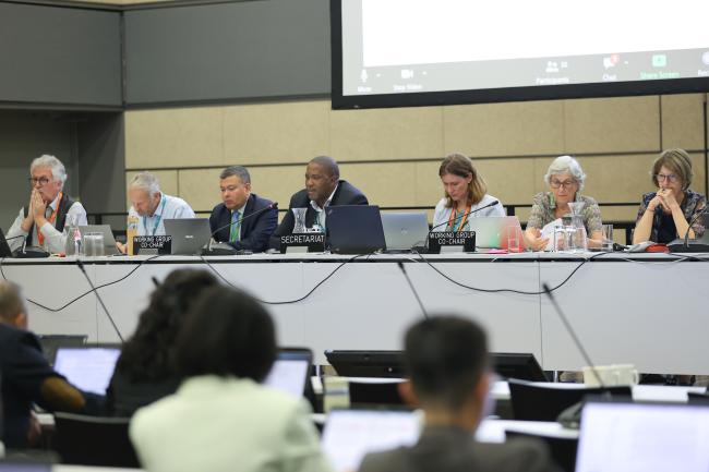 View of the dais during the afternoon session 