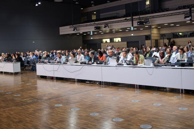 View of the plenary room 