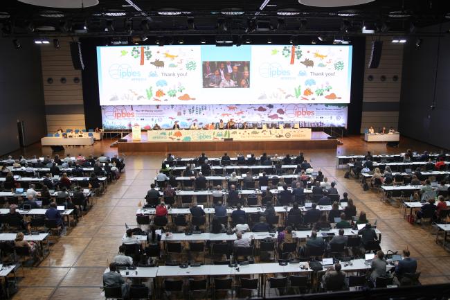 View of the room during the afternoon plenary