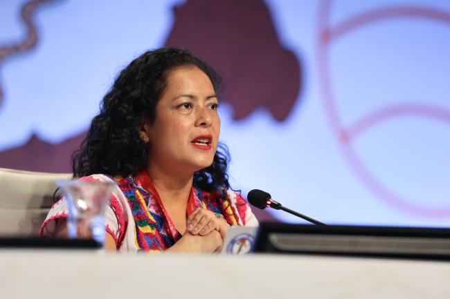 Yesenia Hernández Márquez, Indigenous and Local Knowledge Focal Point, Mexico 