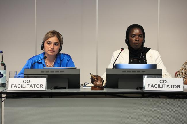 Co-facilitators of Group 1 Galina Bitsadze, Georgia, and Khadidiatou Dramé, Senegal 