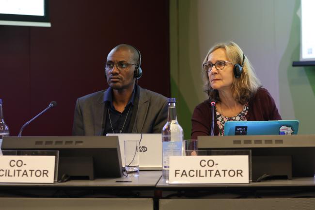 Co-facilitators of Group 3 Eli Guihinimi Souleyman, Chad, and Cynthia Ebinger, US 