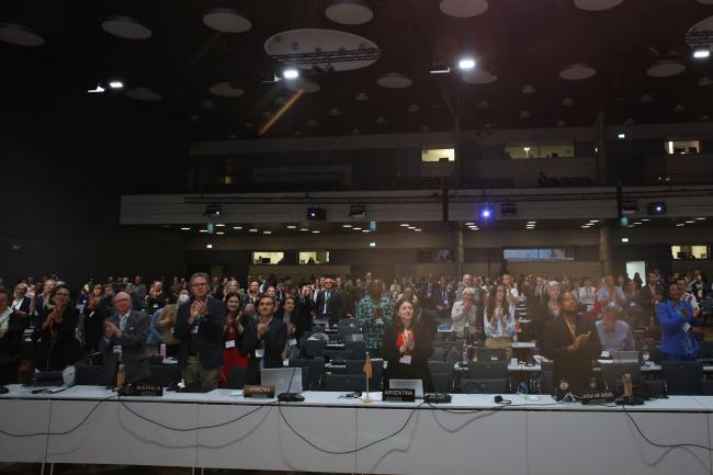 Delegates expressing their appreciation for the work of Ana María Hernández Salgar as  IPBES Chair 