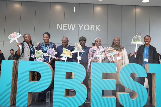 Delegates from Nigeria and Botswana