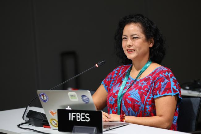 Guadalupe Hernández Márquez, International Indigenous Forum on Biodiversity and Ecosystem Services (IIFBES) 