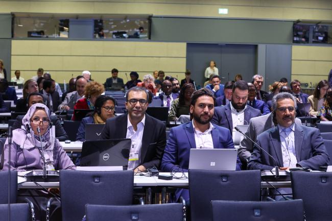 The Iranian delegation