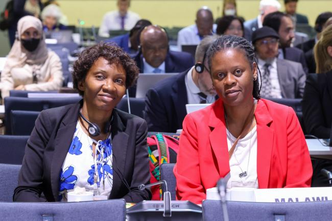 The Malawian delegation