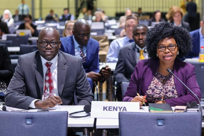 Delegates from Kenya