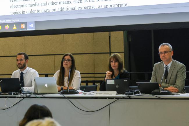 View of the dais during the Thematic Group on resolutions