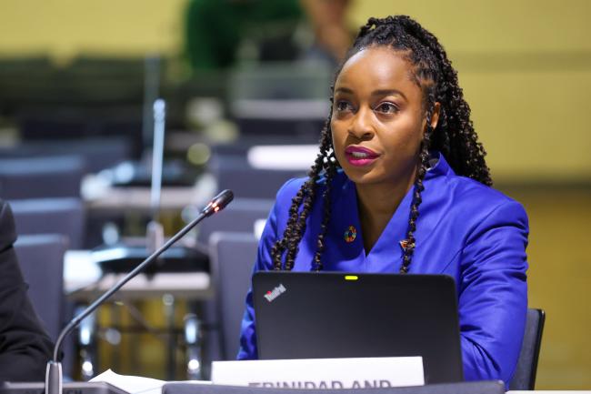 Committee of the Whole Co-Chair Keima Gardiner, Trinidad and Tobago