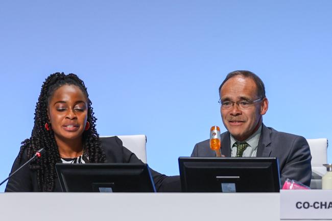 CoW Co-Chairs Keima Gardiner, Trinidad and Tobago, Reggie Hernaus, the Netherlands