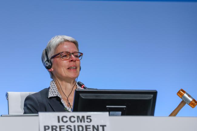 Anita Breyer, ICCM5 President