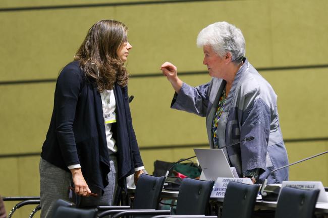 Flavia de Lima Ferreira Magrini, Brazil, with Jill Hanna, Global Alliance on Health and Pollution