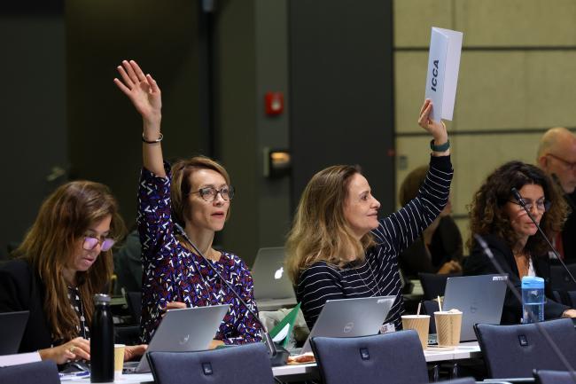 International Council of Chemical Associations (ICCA) delegates requesting the floor