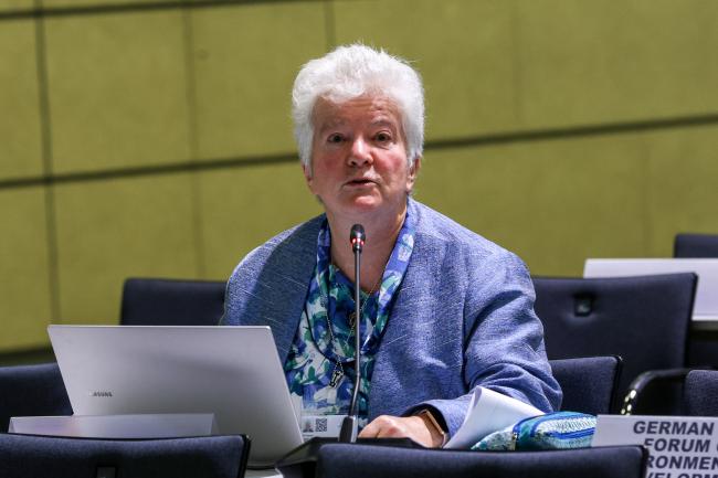 Jill Hanna, Global Alliance on Health and Pollution