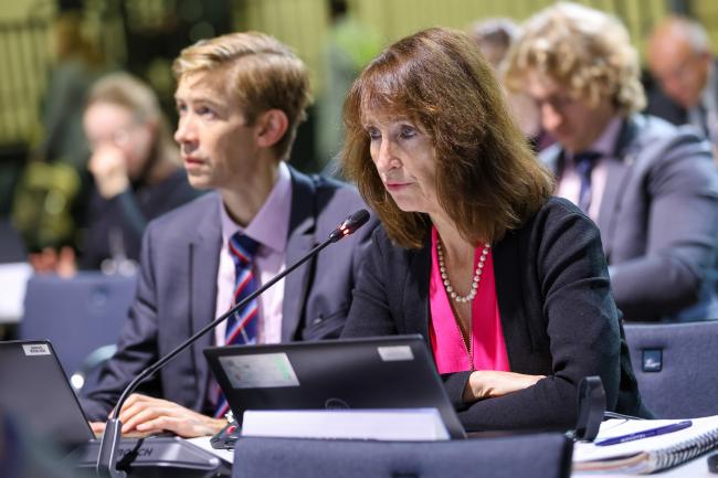 Contact Group on Resolutions Co-Chair Kay Williams, UK