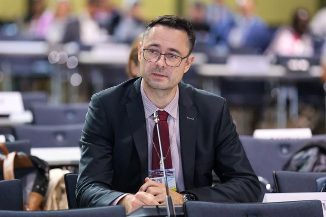 Programme of Work and Budget Working Group Co-Facilitator Přemysl Štěpánek, Czechia