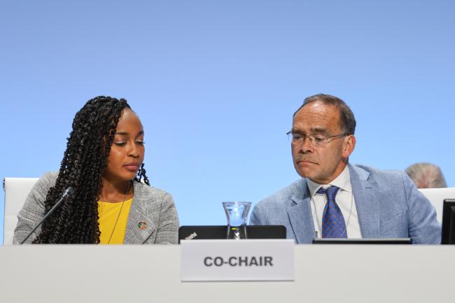 CoW Co-Chairs: Reggie Hernaus (Netherlands) and Keima Gardiner (Trinidad and Tobago)