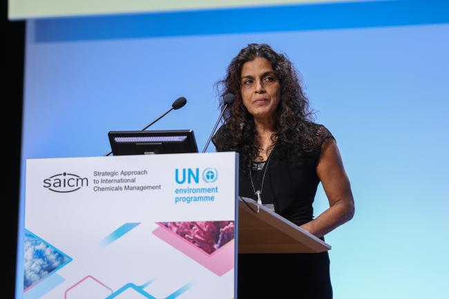 Sheila Aggarwal Khan, UN Environment Programme (UNEP)