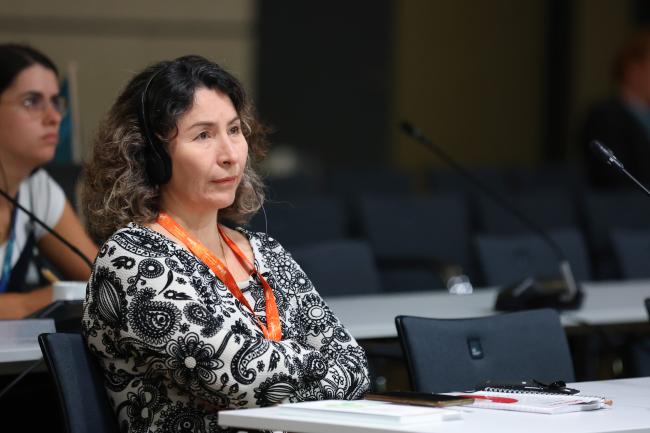  IPBES Chair Ana María Hernández Salgar following the discussions from the back of the room 