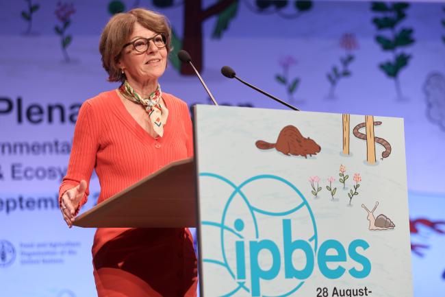 IPBES Executive Secretary Anne Larigauderie 