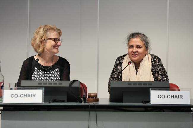 Martine Rohn-Brossard, Co-Chair, Switzerland, and Saqlain Syedah, Co-Chair, Pakistan 