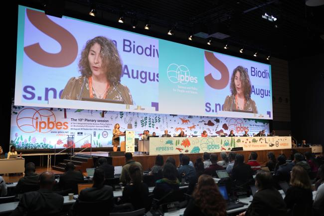 Outgoing IPBES Chair Ana María Hernández Salgar on her last speech 