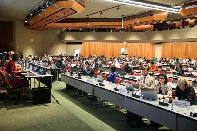 View of the room during the plenary session