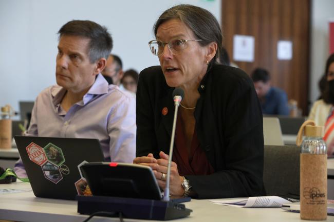 Vigdis Vandvik, Co-leading author