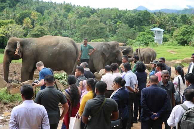 5th Forum participants in a field trip at Pinnawala Elephant Orphanage, Sri Lanka 