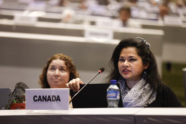 Alison Dickson, Canada- MinamataCOP5 - 31Oct2023 – Photo.jpg