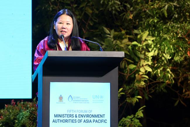 Dechen  Tsering, Regional Director and Representative, UNEP ROAP 